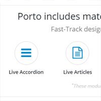 DNN Porto Skin with Matching Module Themes