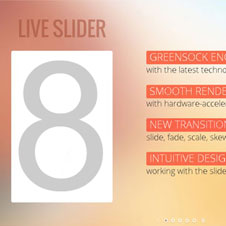 DNN Porto Skin with Includes Live Slider Module